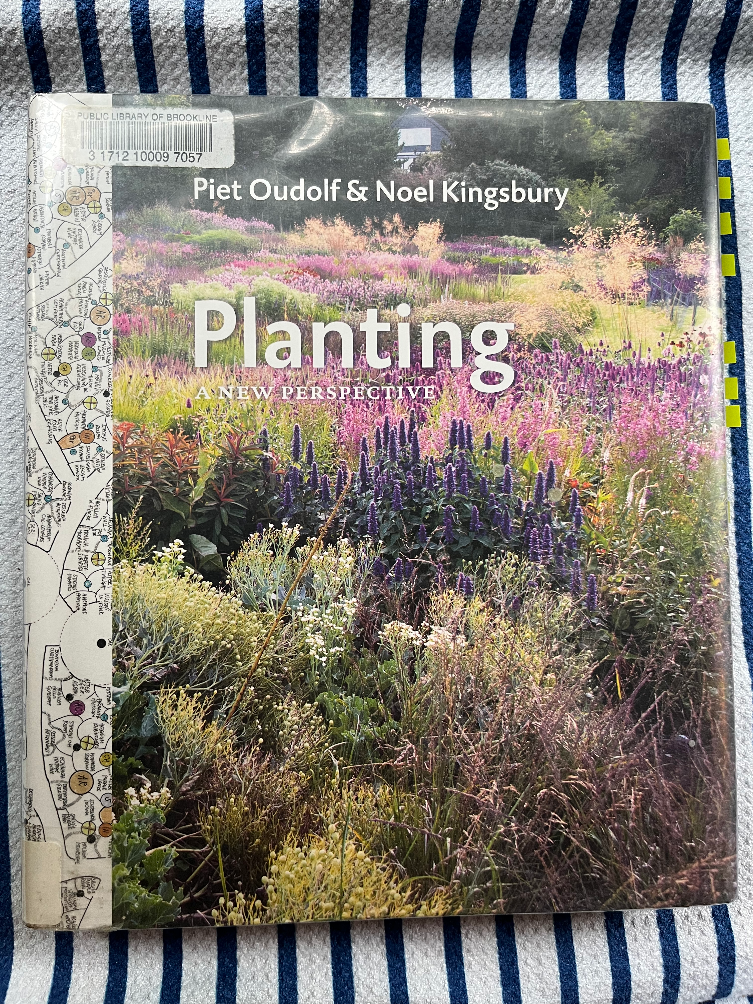 A Walk Through… Planting: A New Perspective