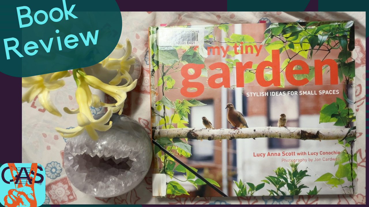 a walk through… My Tiny Garden
